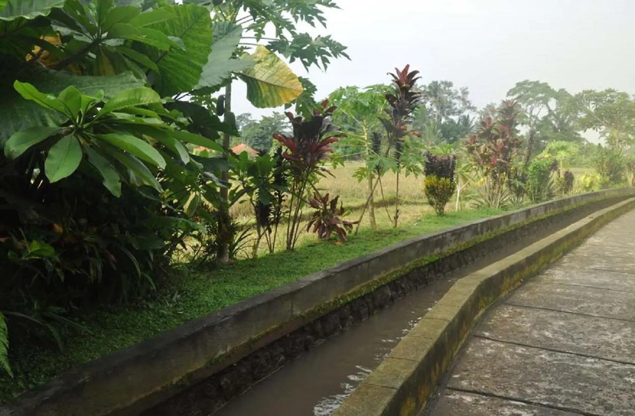 Candra Asri Bungalow Ubud  0*, Ubud (Bali) Indonesia
