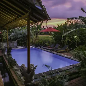 Soca House Guest house